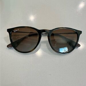 Ray-Ban Erika Classic Polarized Sunglasses